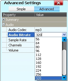 Audio Bitrate in 320kbps einstellen