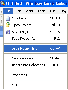 Speichern MSWMM Projektdatei als Videoformat Konvertieren MSWMM Project Dateien