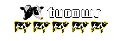 Bigasoft iPod Transfer Sharewaren bekommen 5 Sterne von Tucows.com