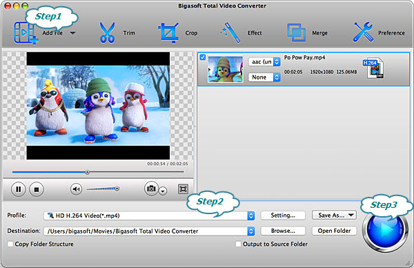 Bigasoft Total Video Converter Licence Key Download Free For Windows 8.1 Pro