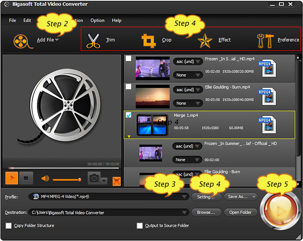 Convert F4V with F4V Converter