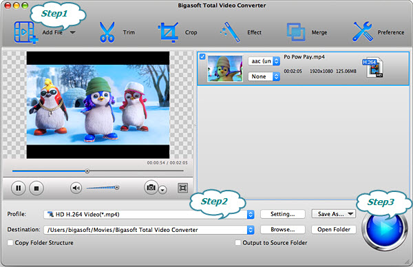 How to Convert SWF to MP4 for Mac Easily?-Bigasoft Total Video Converter  Will Show You.