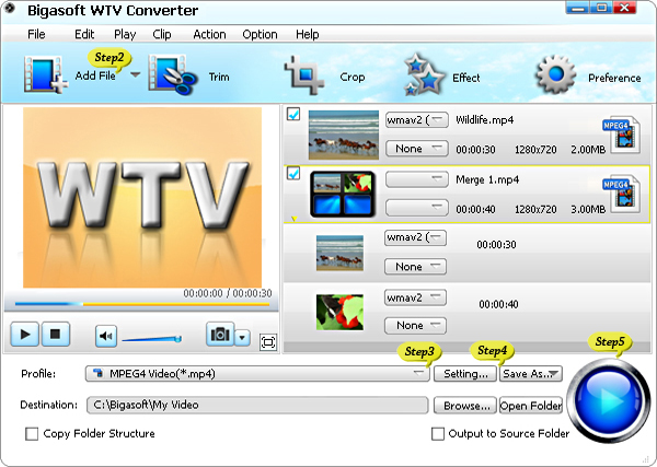 Convert WTV to AVI, MP4, MKV, WMV, MPG and MOV