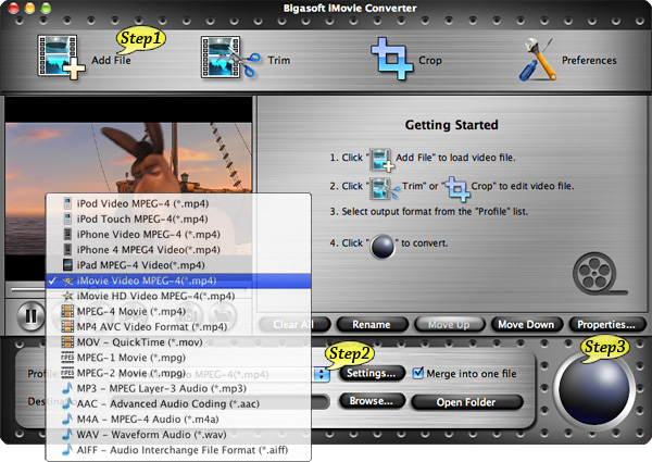 Step by Step Guide on How to Convert and Import Flv to iMovie '11, '09, '08