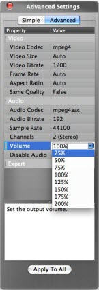 How to Adjust Audio Volume?