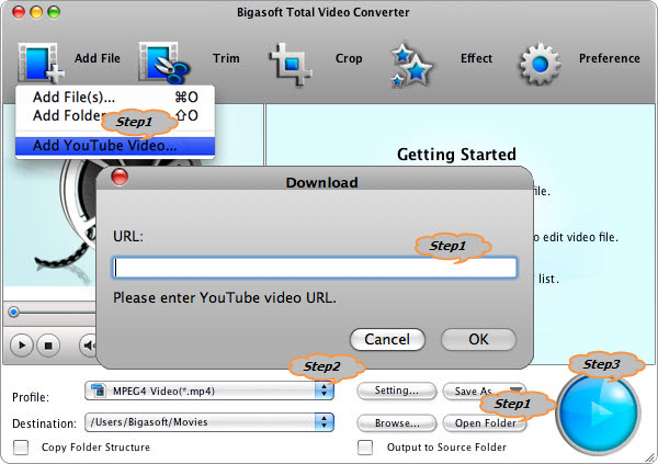 How to Download Online Video?