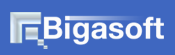 That's New Digital Life. - Bigasoft Corporation
