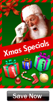 Save Big on Xmas Specials