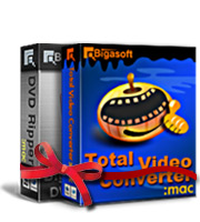 All-in-one Video Converter Bundle