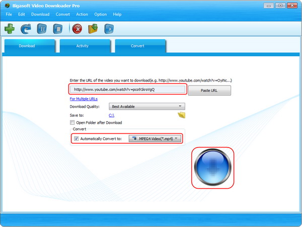 beeg video downloader
